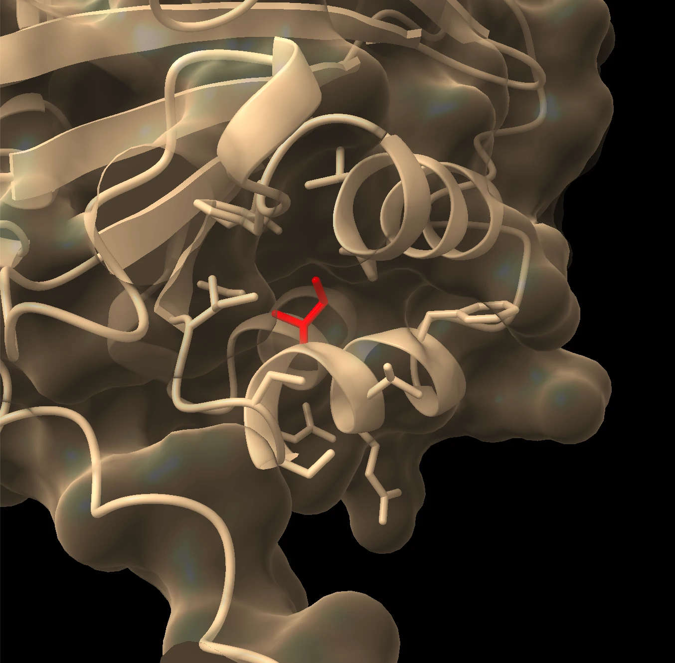 AlphaFold protein structure viewed in ChimeraX, with COL6A3 residue I1563 highlighted